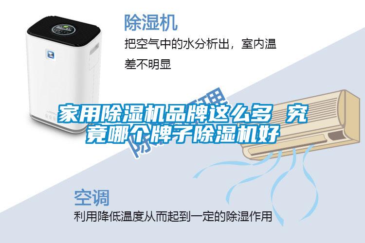 家用草莓视频APP在线观看品牌这么多 究竟哪个牌子草莓视频APP在线观看好