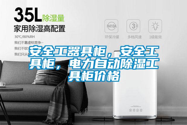 安全工器具柜，安全工具柜，电力自动除湿工具柜价格