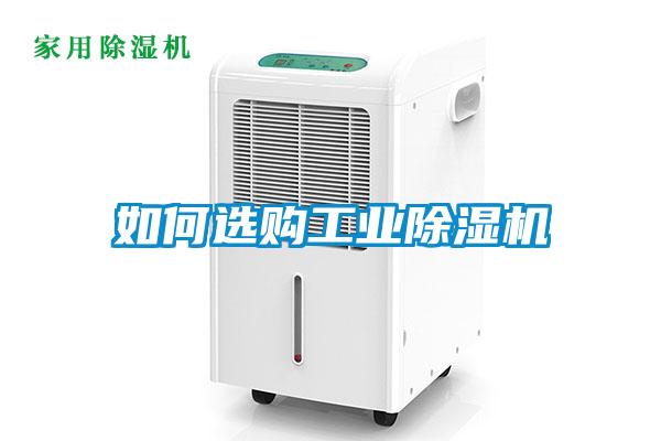 如何选购工业草莓视频APP在线观看