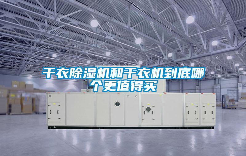 干衣草莓视频APP在线观看和干衣机到底哪个更值得买