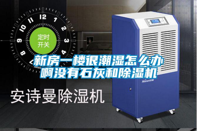 新房一楼很潮湿怎么办啊没有石灰和草莓视频APP在线观看