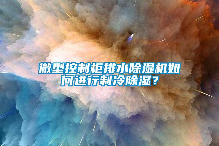 微型控制柜排水草莓视频APP在线观看如何进行制冷除湿？