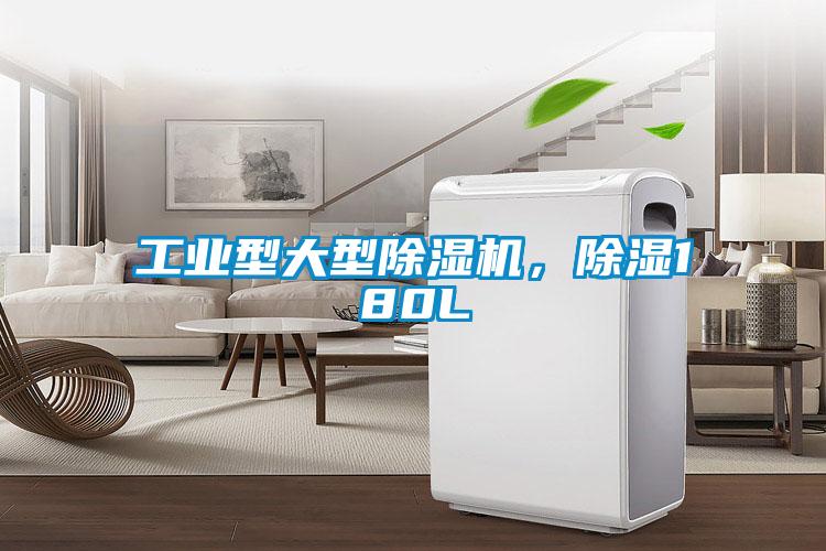 工业型大型草莓视频APP在线观看，除湿180L