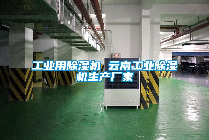 工业用草莓视频APP在线观看 云南工业草莓视频APP在线观看生产厂家