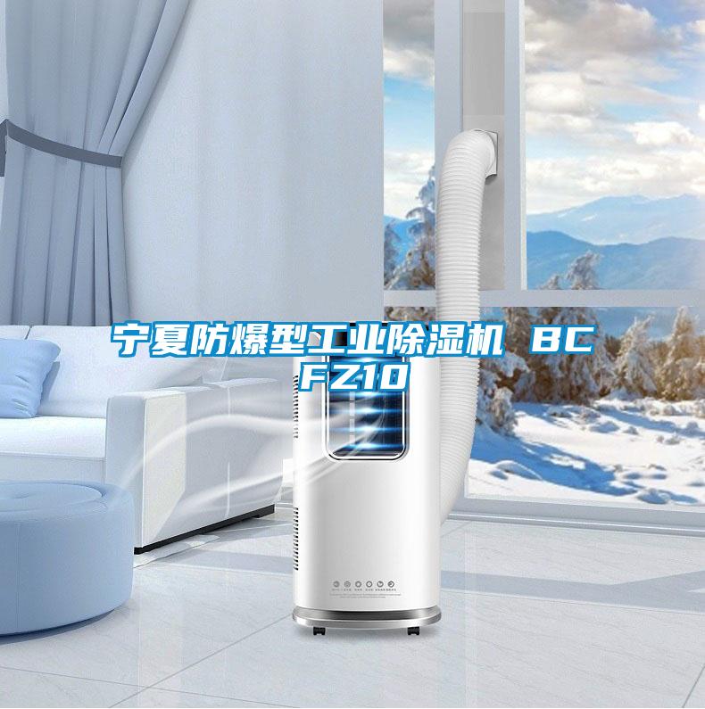 宁夏防爆型工业草莓视频APP在线观看 BCFZ10
