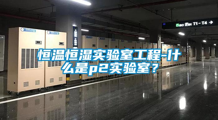 恒温恒湿实验室工程-什么是p2实验室？