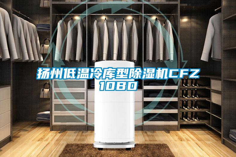 扬州低温冷库型草莓视频APP在线观看CFZ10BD