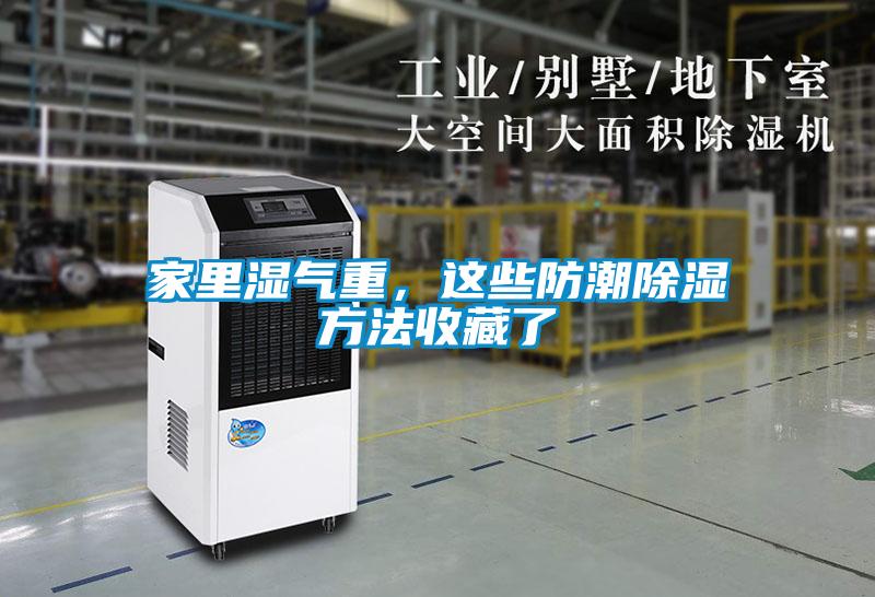 家里湿气重，这些防潮除湿方法收藏了