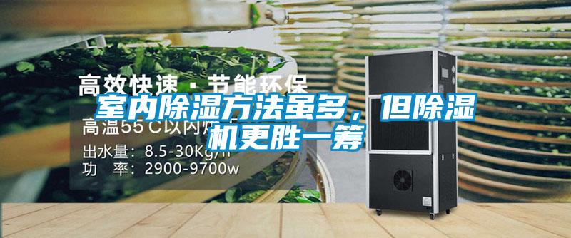 室内除湿方法虽多，但草莓视频APP在线观看更胜一筹