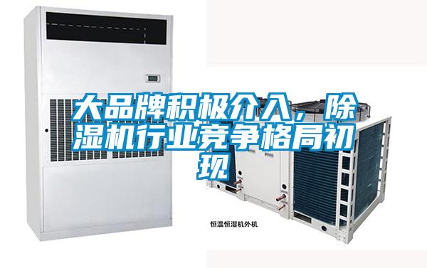 大品牌积极介入，草莓视频APP在线观看行业竞争格局初现