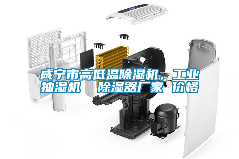 咸宁市高低温草莓视频APP在线观看，工业抽湿机  除湿器厂家 价格