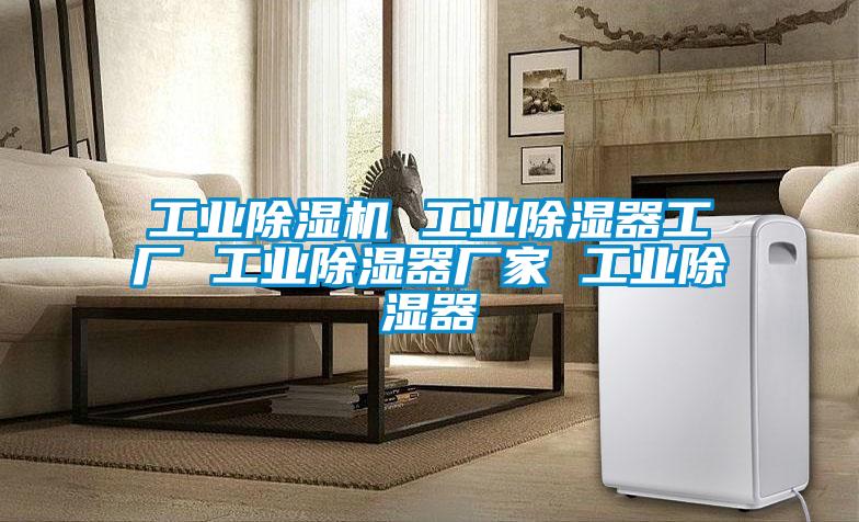 工业草莓视频APP在线观看 工业除湿器工厂 工业除湿器厂家 工业除湿器