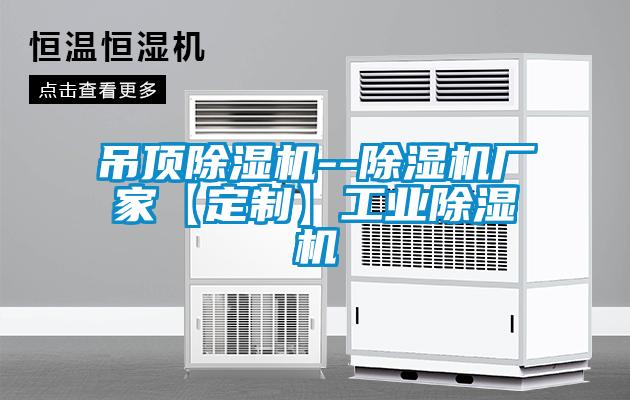 吊顶草莓视频APP在线观看--草莓视频APP在线观看厂家【定制】工业草莓视频APP在线观看