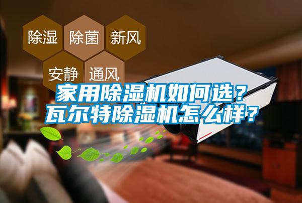 家用草莓视频APP在线观看如何选？瓦尔特草莓视频APP在线观看怎么样？