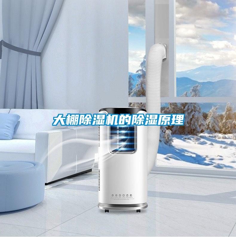 大棚草莓视频APP在线观看的除湿原理