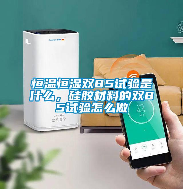 恒温恒湿双85试验是什么，硅胶材料的双85试验怎么做
