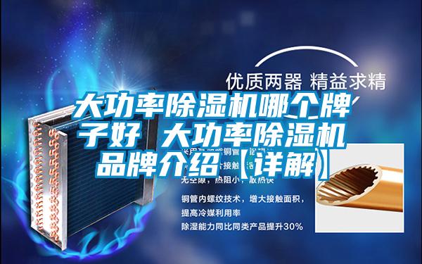 大功率草莓视频APP在线观看哪个牌子好 大功率草莓视频APP在线观看品牌介绍【详解】