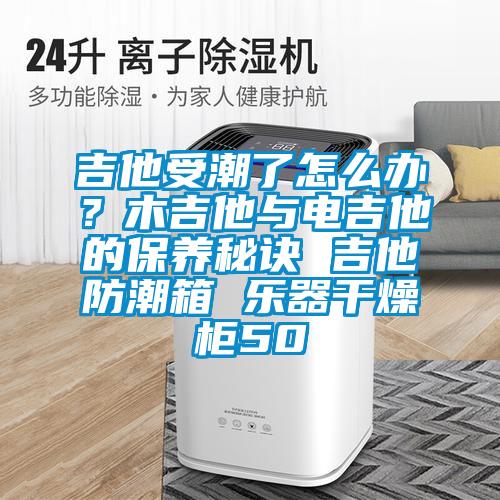 吉他受潮了怎么办？木吉他与电吉他的保养秘诀 吉他防潮箱 乐器干燥柜50