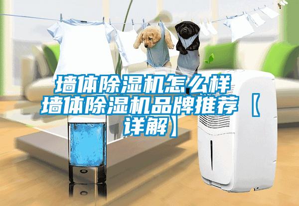 墙体草莓视频APP在线观看怎么样 墙体草莓视频APP在线观看品牌推荐【详解】