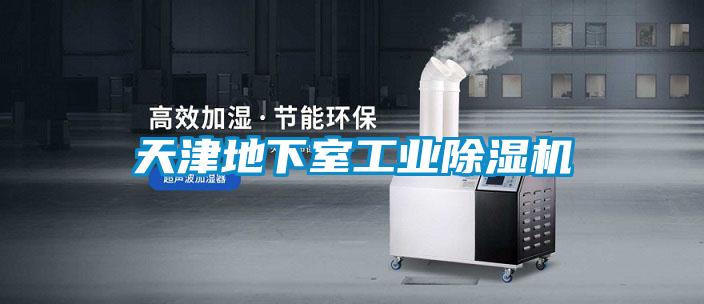 天津地下室工业草莓视频APP在线观看