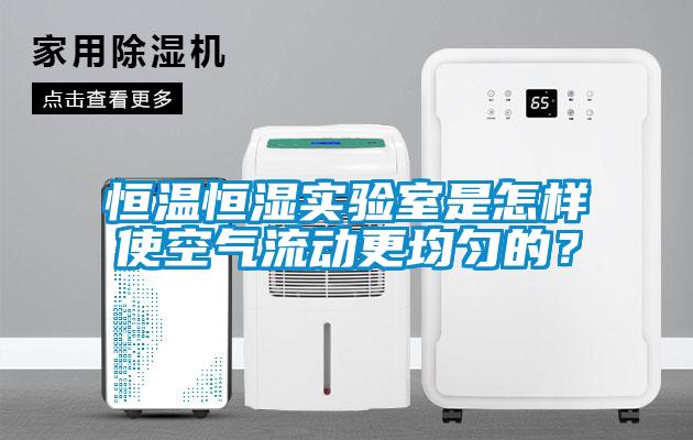恒温恒湿实验室是怎样使空气流动更均匀的？