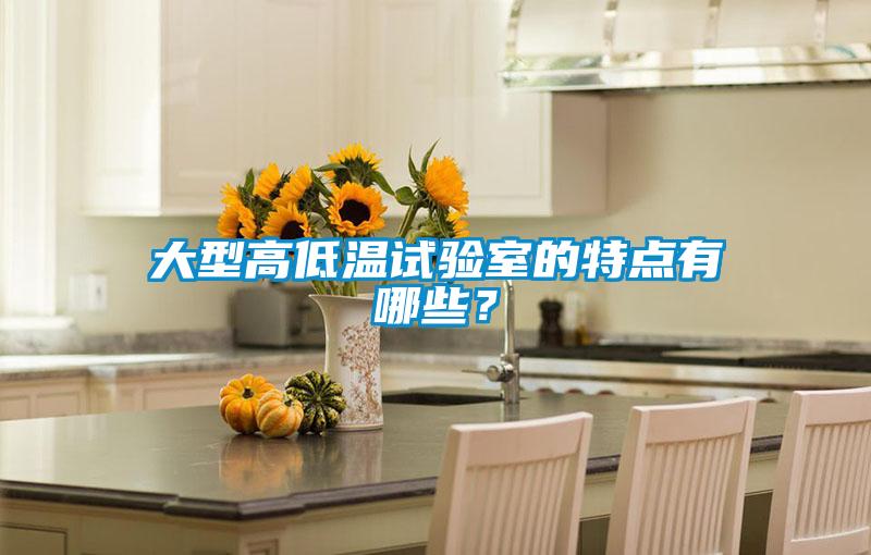 大型高低温试验室的特点有哪些？