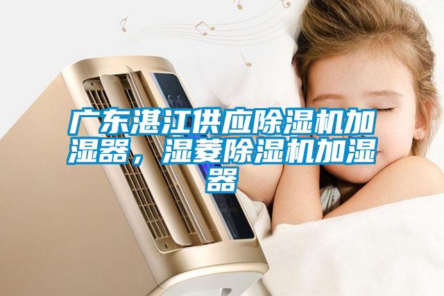 广东湛江供应草莓视频APP在线观看加湿器，湿菱草莓视频APP在线观看加湿器