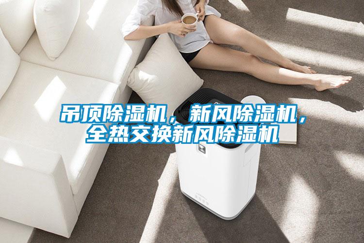 吊顶草莓视频APP在线观看，新风草莓视频APP在线观看，全热交换新风草莓视频APP在线观看