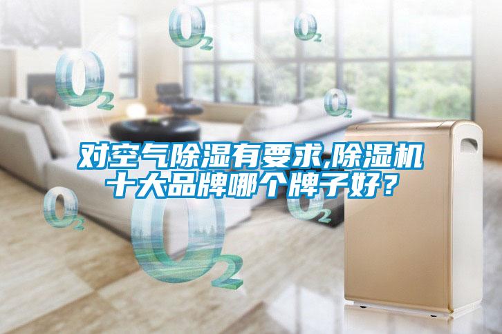 对空气除湿有要求,草莓视频APP在线观看十大品牌哪个牌子好？