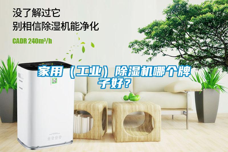家用（工业）草莓视频APP在线观看哪个牌子好？