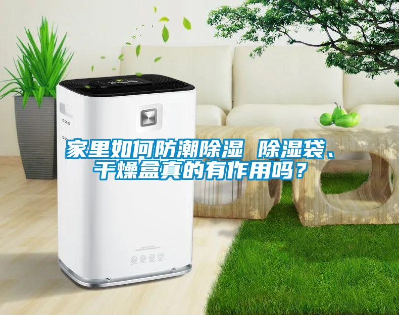 家里如何防潮除湿 除湿袋、干燥盒真的有作用吗？