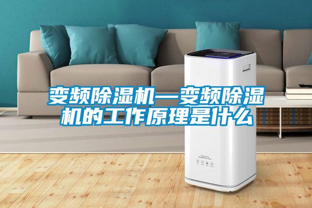 变频草莓视频APP在线观看—变频草莓视频APP在线观看的工作原理是什么