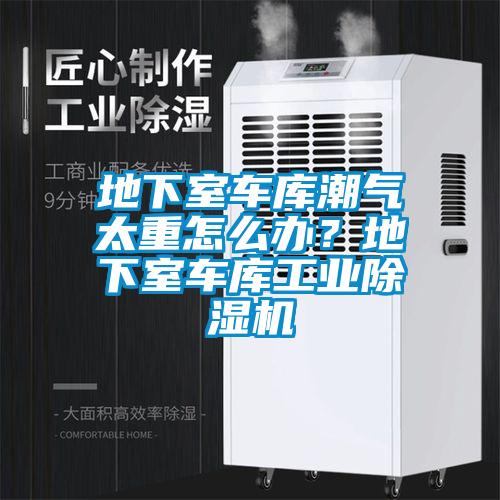 地下室车库潮气太重怎么办？地下室车库工业草莓视频APP在线观看