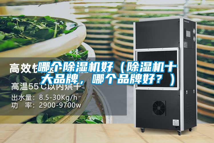 哪个草莓视频APP在线观看好（草莓视频APP在线观看十大品牌，哪个品牌好？）