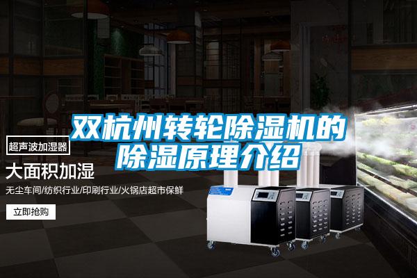 双杭州转轮草莓视频APP在线观看的除湿原理介绍