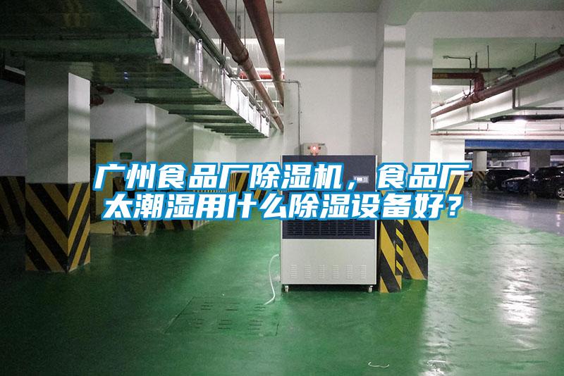 广州食品厂草莓视频APP在线观看，食品厂太潮湿用什么除湿设备好？