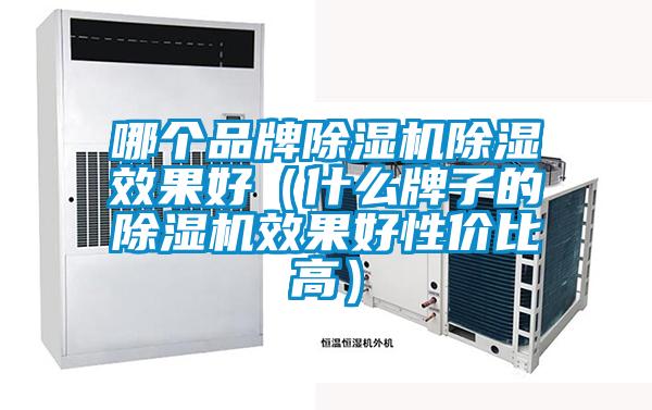 哪个品牌草莓视频APP在线观看除湿效果好（什么牌子的草莓视频APP在线观看效果好性价比高）