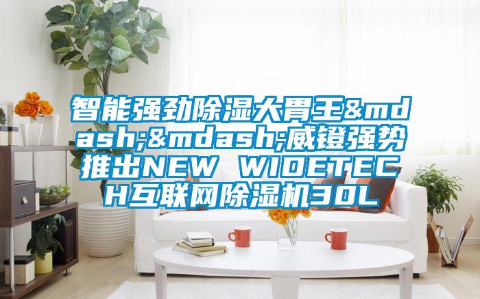 智能强劲除湿大胃王——威镫强势推出NEW WIDETECH互联网草莓视频APP在线观看30L