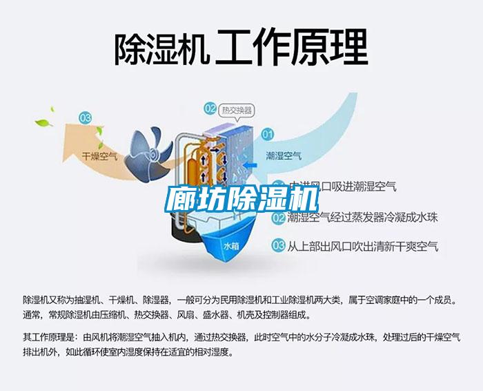 廊坊草莓视频APP在线观看