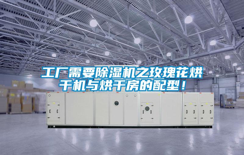 工厂需要草莓视频APP在线观看之玫瑰花烘干机与烘干房的配型！