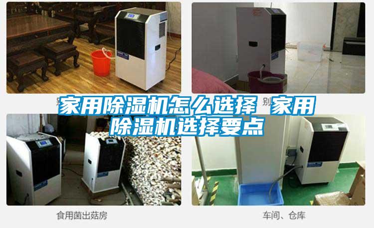 家用草莓视频APP在线观看怎么选择 家用草莓视频APP在线观看选择要点