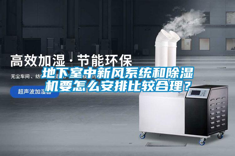 地下室中新风系统和草莓视频APP在线观看要怎么安排比较合理？