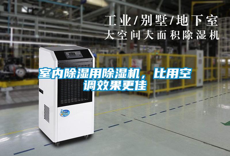 室内除湿用草莓视频APP在线观看，比用空调效果更佳