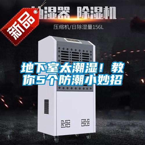 地下室太潮湿！教你5个防潮小妙招