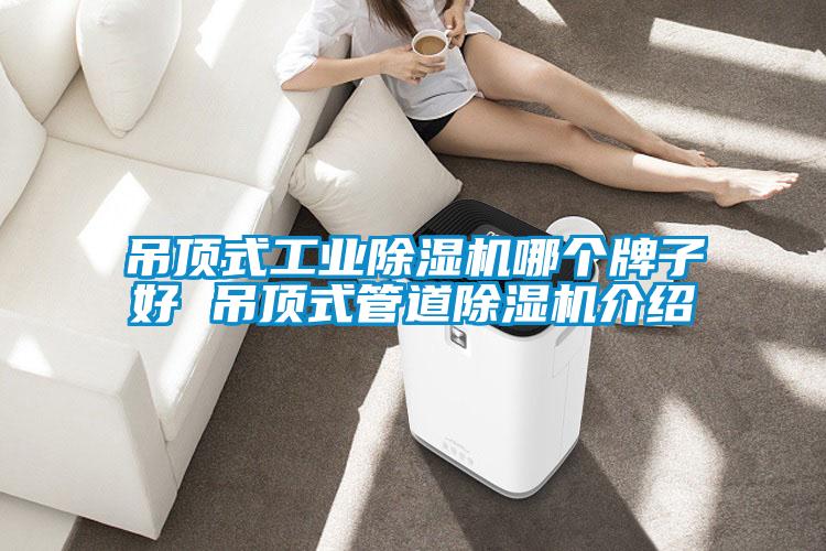 吊顶式工业草莓视频APP在线观看哪个牌子好 吊顶式管道草莓视频APP在线观看介绍