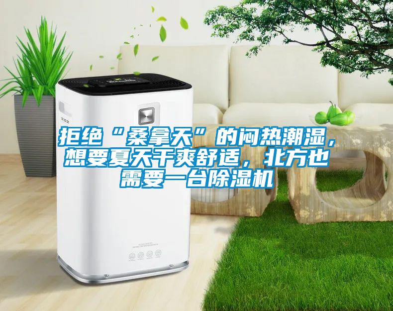 拒绝“桑拿天”的闷热潮湿，想要夏天干爽舒适，北方也需要一台草莓视频APP在线观看