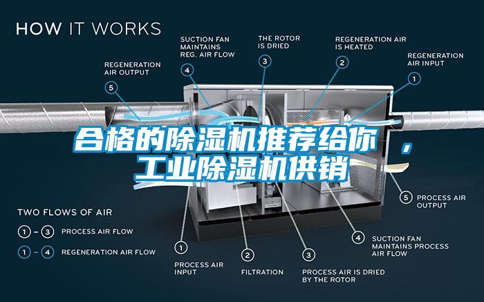 合格的草莓视频APP在线观看推荐给你 ，工业草莓视频APP在线观看供销