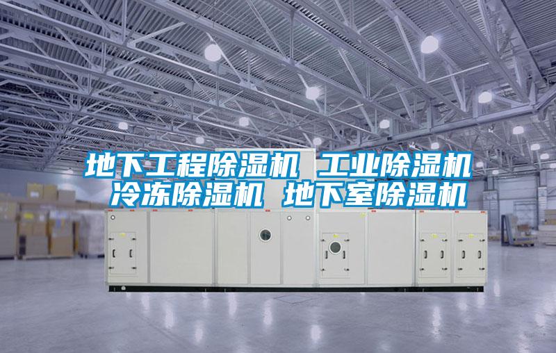 地下工程草莓视频APP在线观看 工业草莓视频APP在线观看 冷冻草莓视频APP在线观看 地下室草莓视频APP在线观看