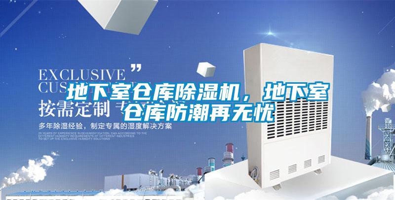 地下室仓库草莓视频APP在线观看，地下室仓库防潮再无忧
