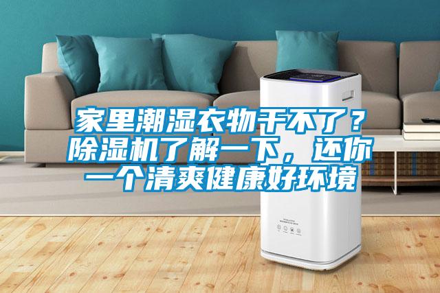 家里潮湿衣物干不了？草莓视频APP在线观看了解一下，还你一个清爽健康好环境